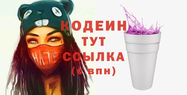 твердый Протвино