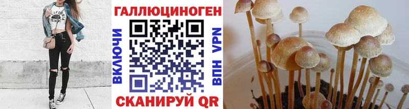 Галлюциногенные грибы GOLDEN TEACHER цена Рудня